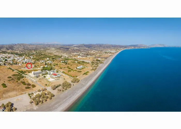 فيلة Hermione غينادي